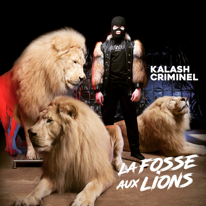 Cover image for La fosse aux lions
