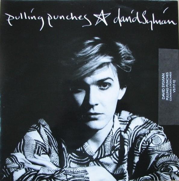 Album cover art for "Pulling Punches" by David Sylvian