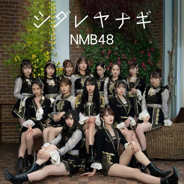 Album cover art for "シダレヤナギ (Shidareyanagi)" by NMB48