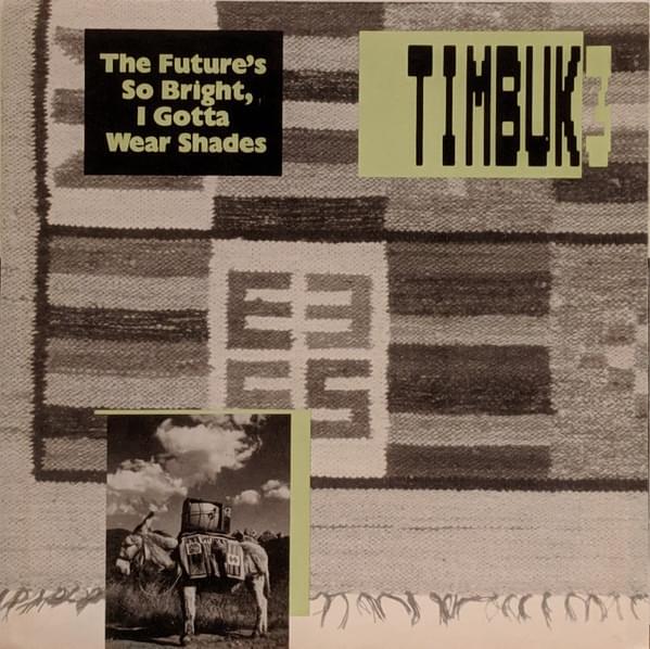 The Future’s So Bright, I Gotta Wear Shades by Timbuk 3