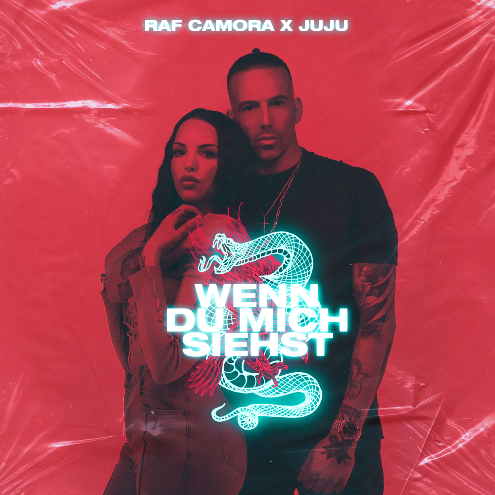 Album cover art for "Wenn du mich siehst" by RAF Camora