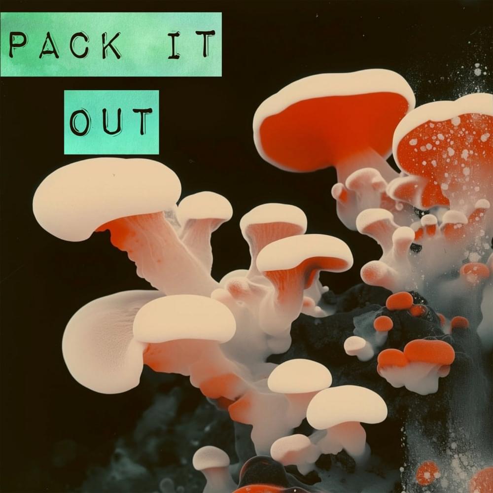 Album cover art for "Pack It Out" by Arrested Development & BeeTaylor & 1love & Tasha LaRae