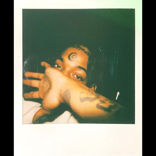 Album cover art for "First Degree" by Thouxanbanfauni