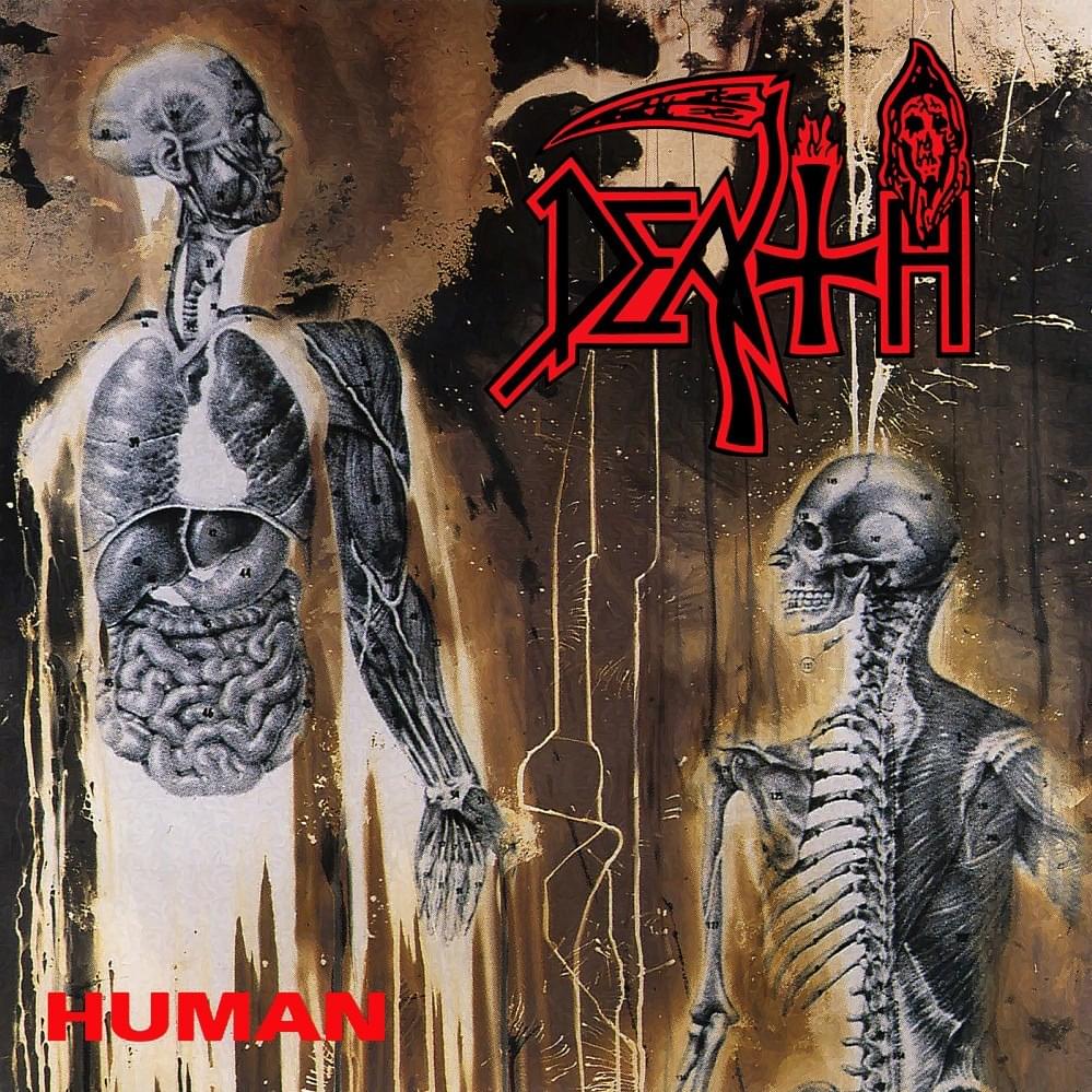 Cover image for Human