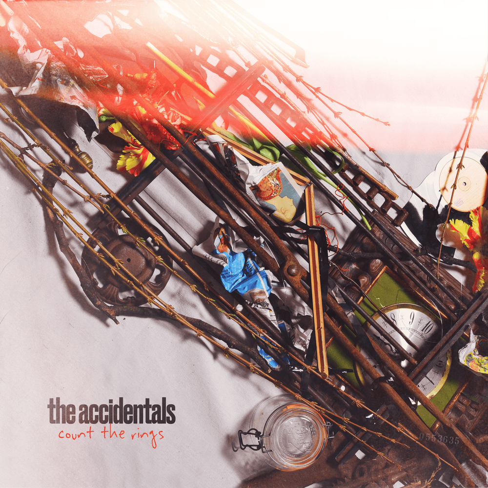 Count The Rings by The Accidentals