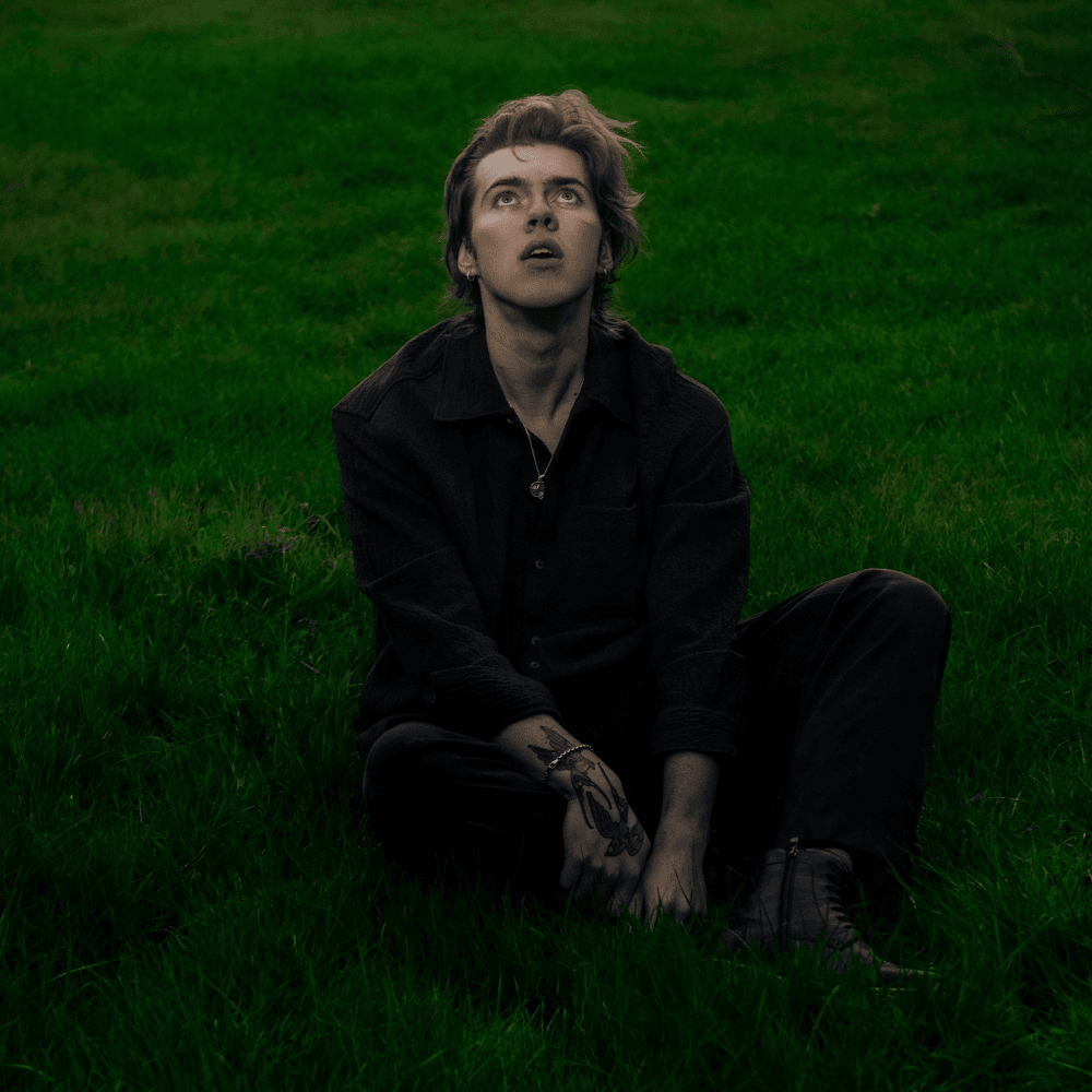 Album cover art for "Surprise!" by Livingston