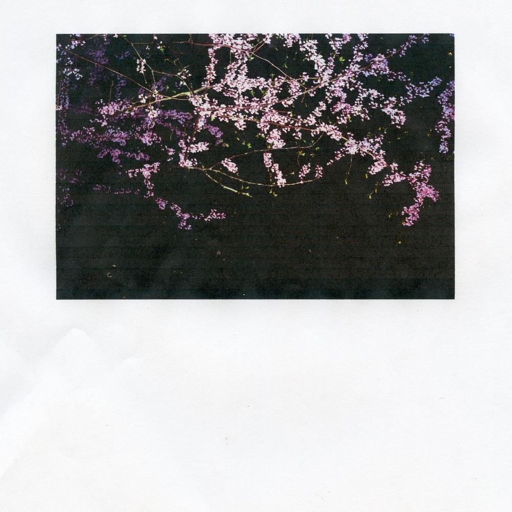​​my angel crying in the rose room by Ricky Eat Acid