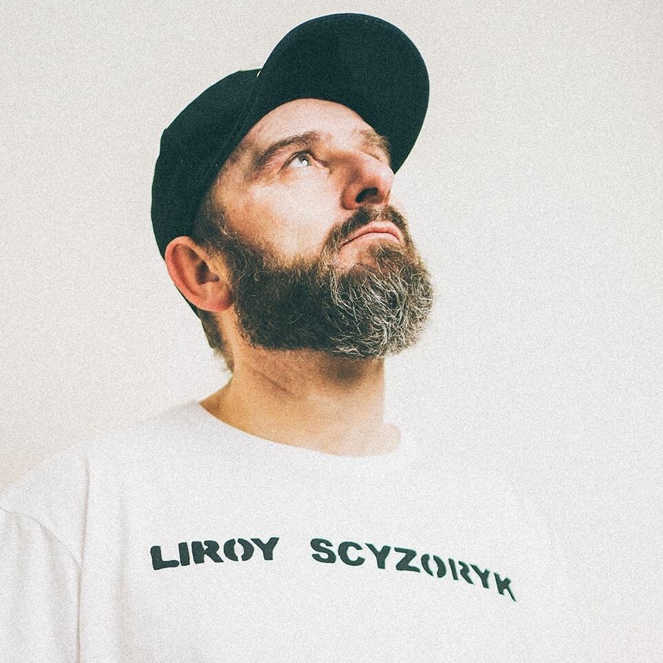 Cover image for Liroy