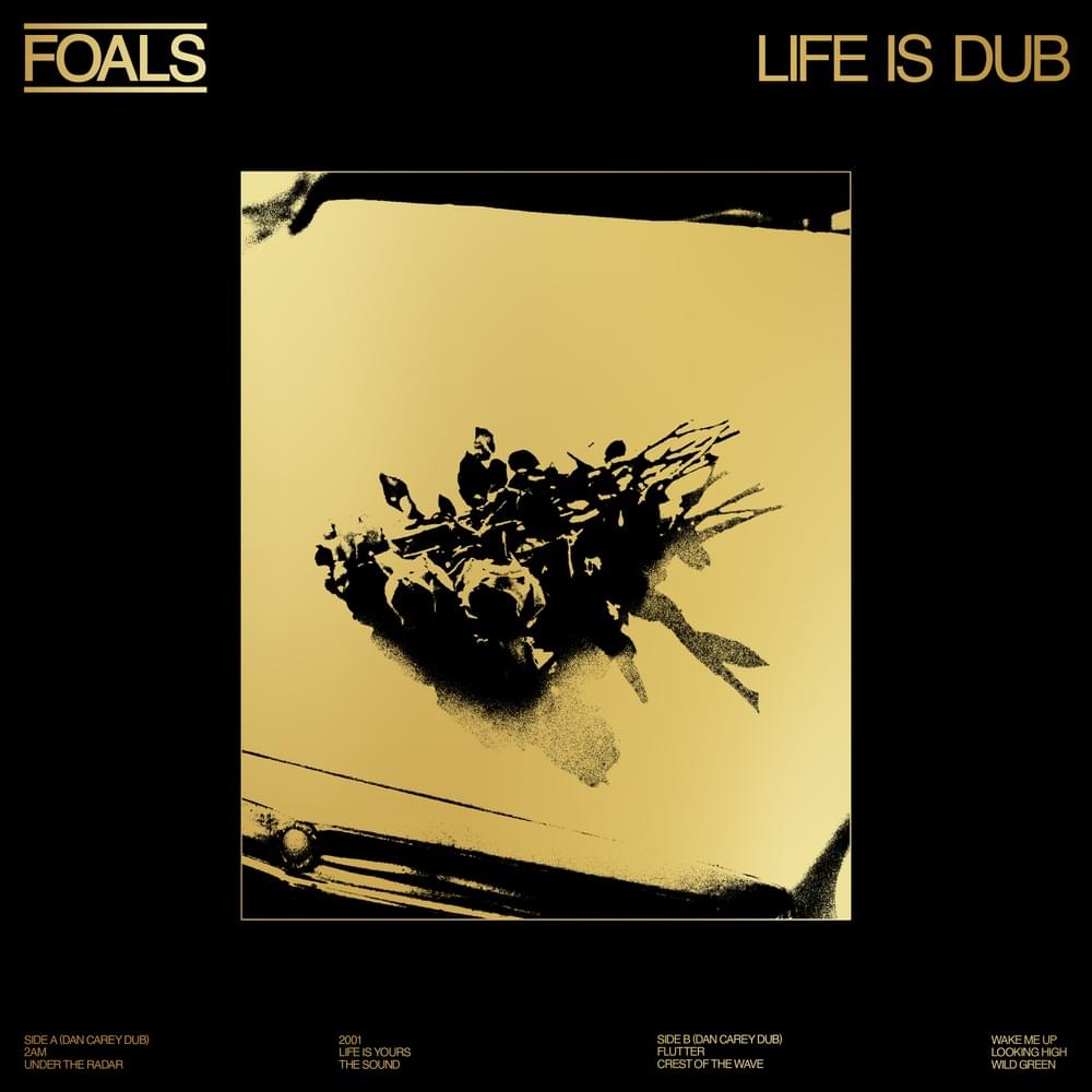 Cover image for Life Is Dub