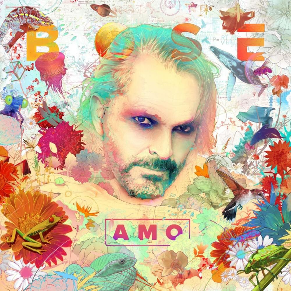 Cover image for Amo