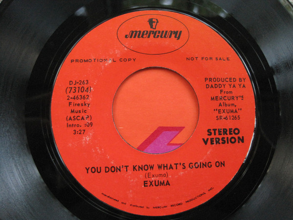 You Don’t Know What’s Going On by Exuma