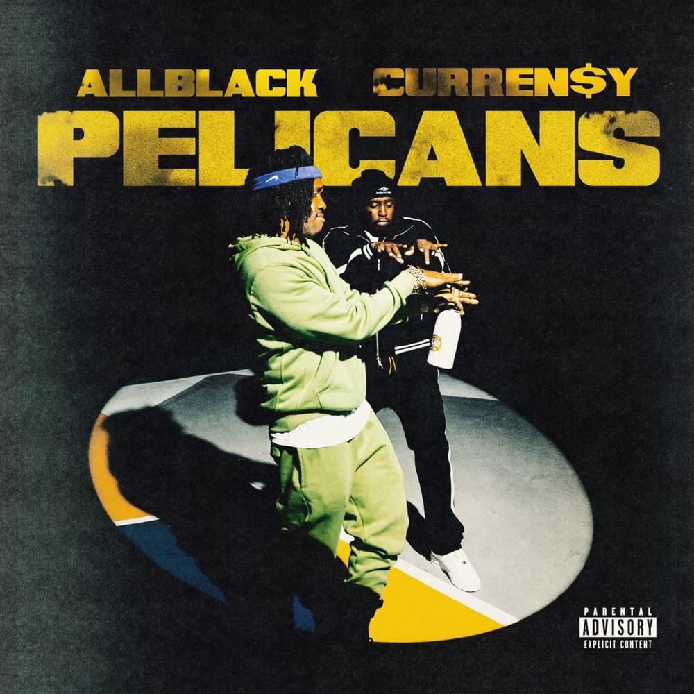 Album cover art for "Pelicans" by ALLBLACK