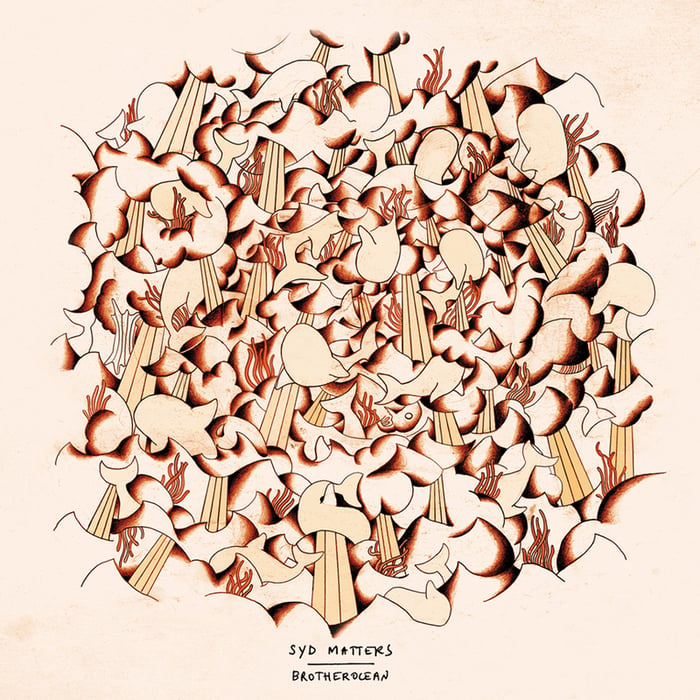 Cover image for Brotherocean