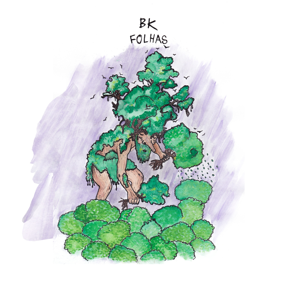 Album cover art for "Folhas" by BK’