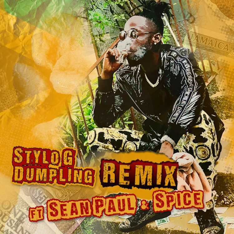 Album cover art for "Dumpling (Remix)" by Stylo G & Sean Paul & Spice