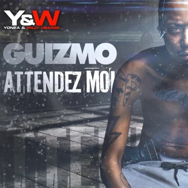 Attendez-moi by Guizmo