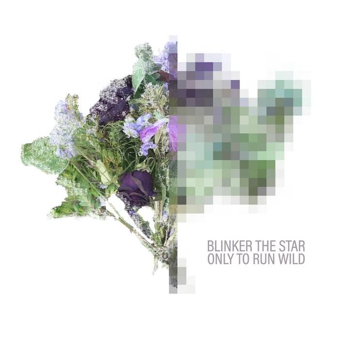 Album cover art for "Only to Run Wild" by Blinker The Star