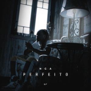 Album cover art for "Perfeito" by NGA