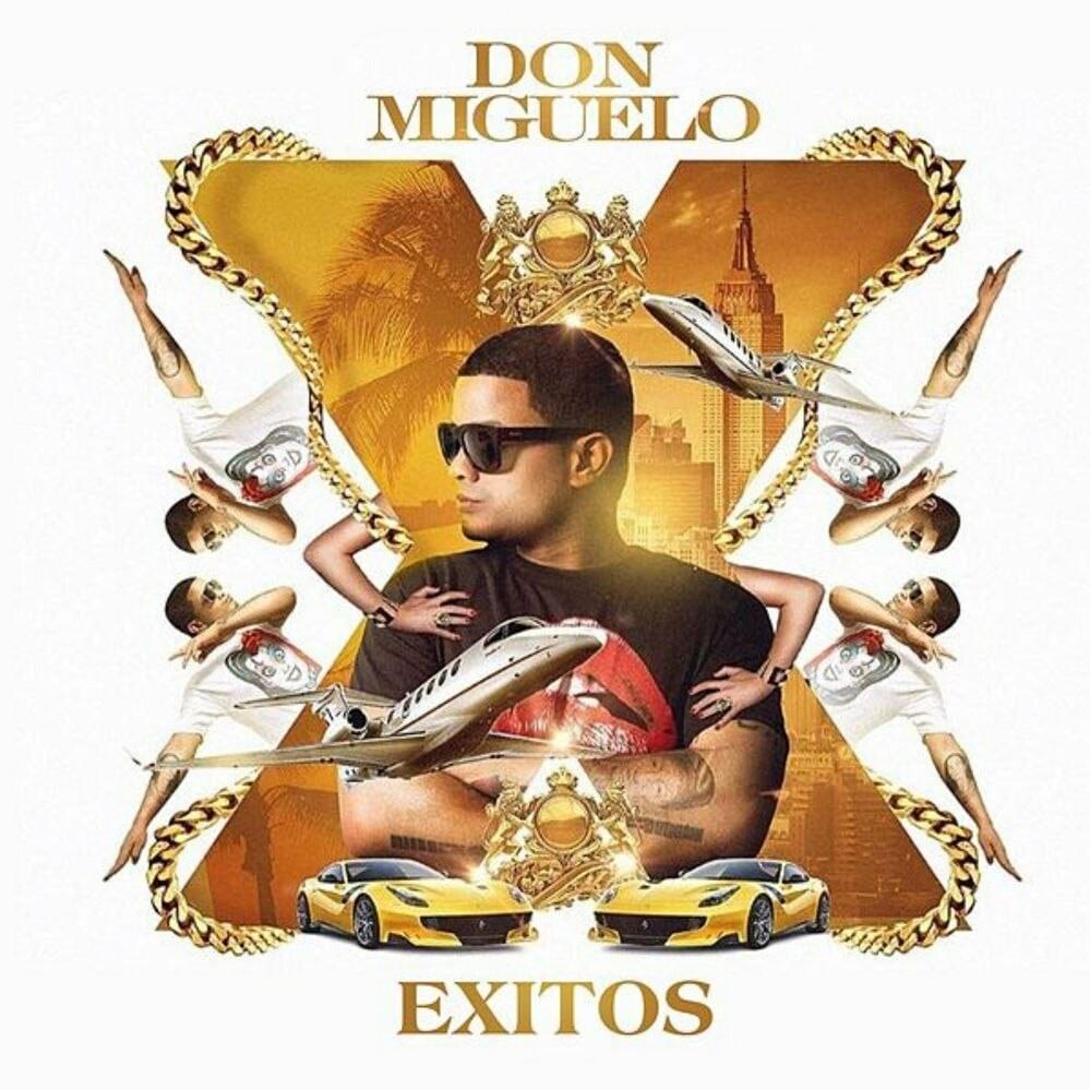 Cover image for Exitos