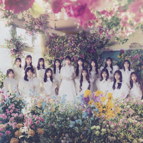 Photo of AKB48+SKE48+SDN48+NMB48