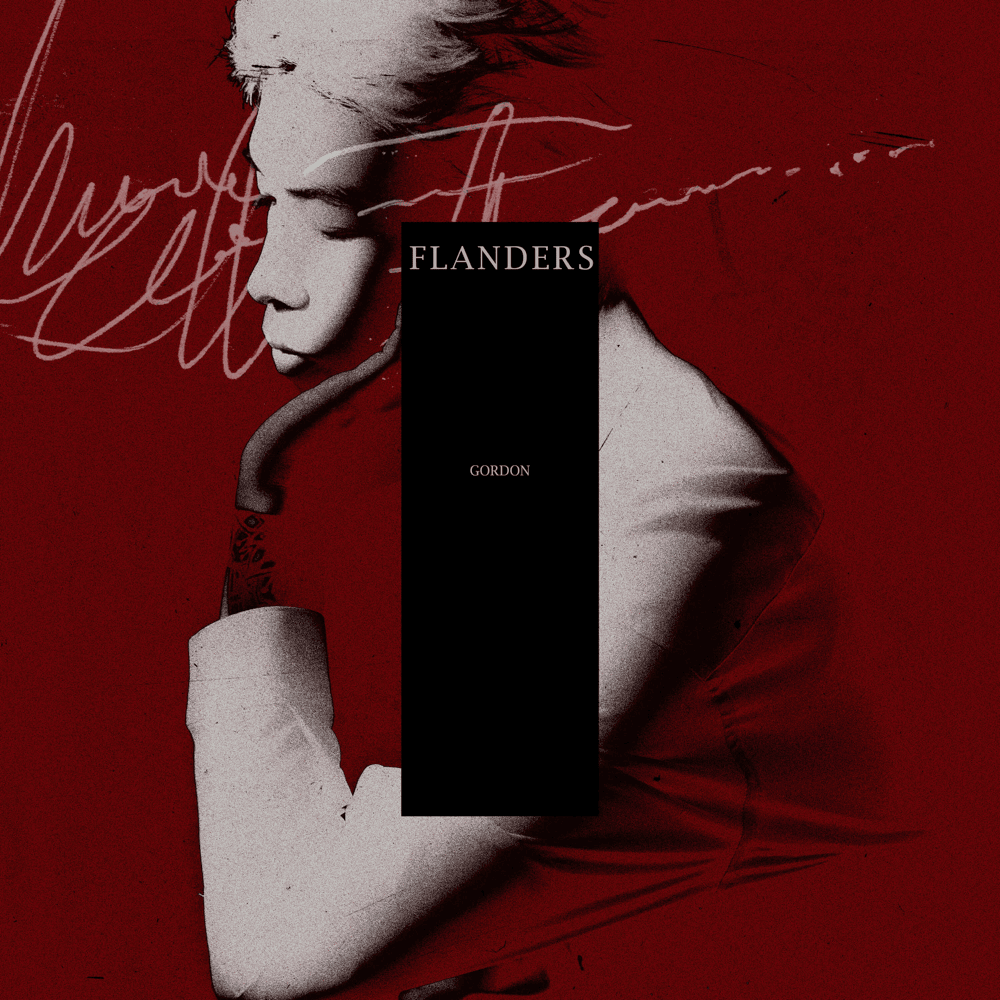 Cover image for FLANDERS