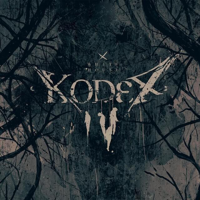 Cover image for Kodex IV