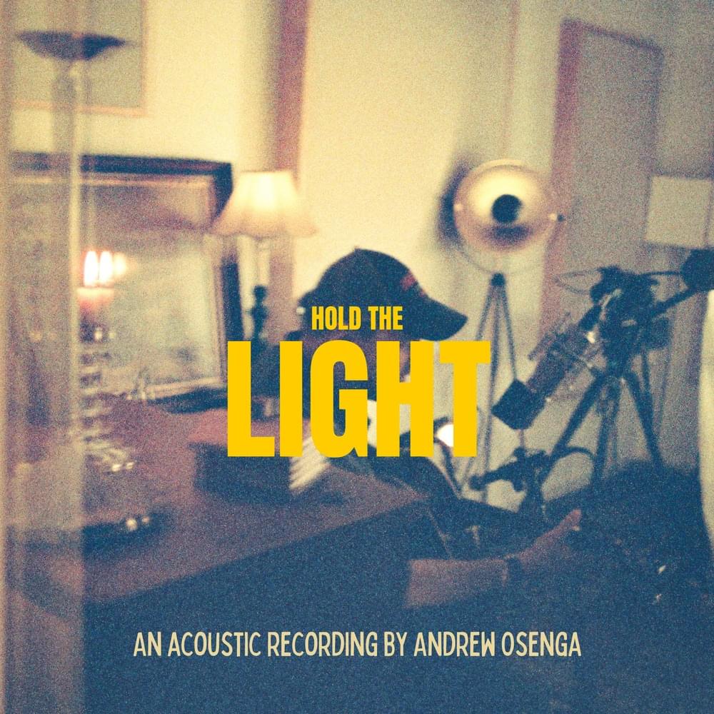 Cover image for Hold the Light