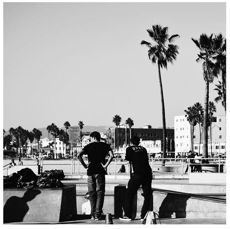Album cover art for "Who Says We’re Through" by The Band CAMINO