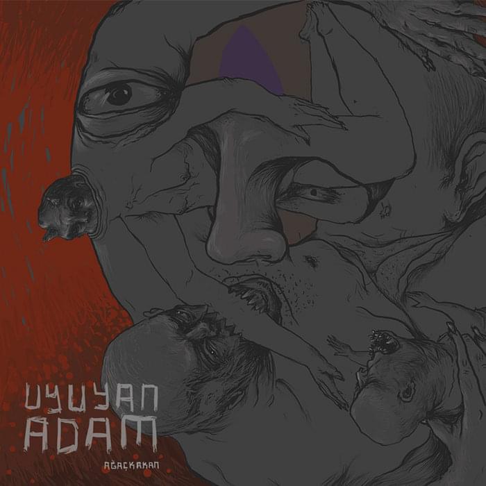 Album cover art for "Vertigo" by Ağaçkakan
