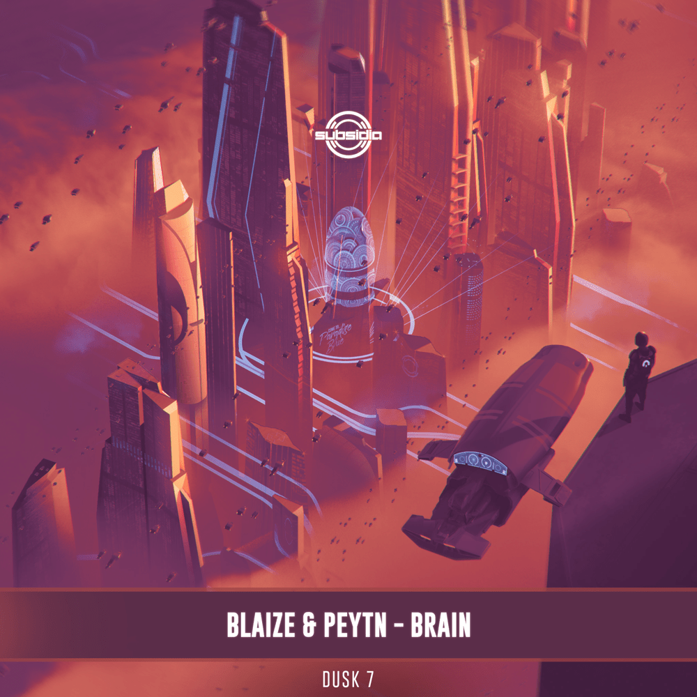 Album cover art for "Brain" by Blaize & Petyn