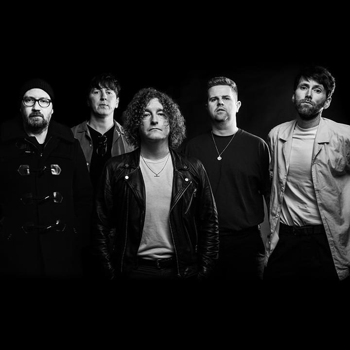 Photo of The Pigeon Detectives