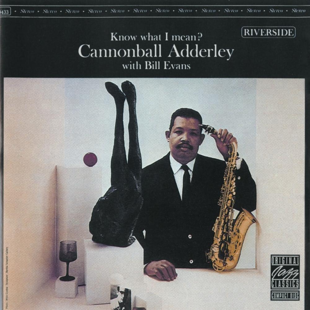 Cover image for Know What I Mean?