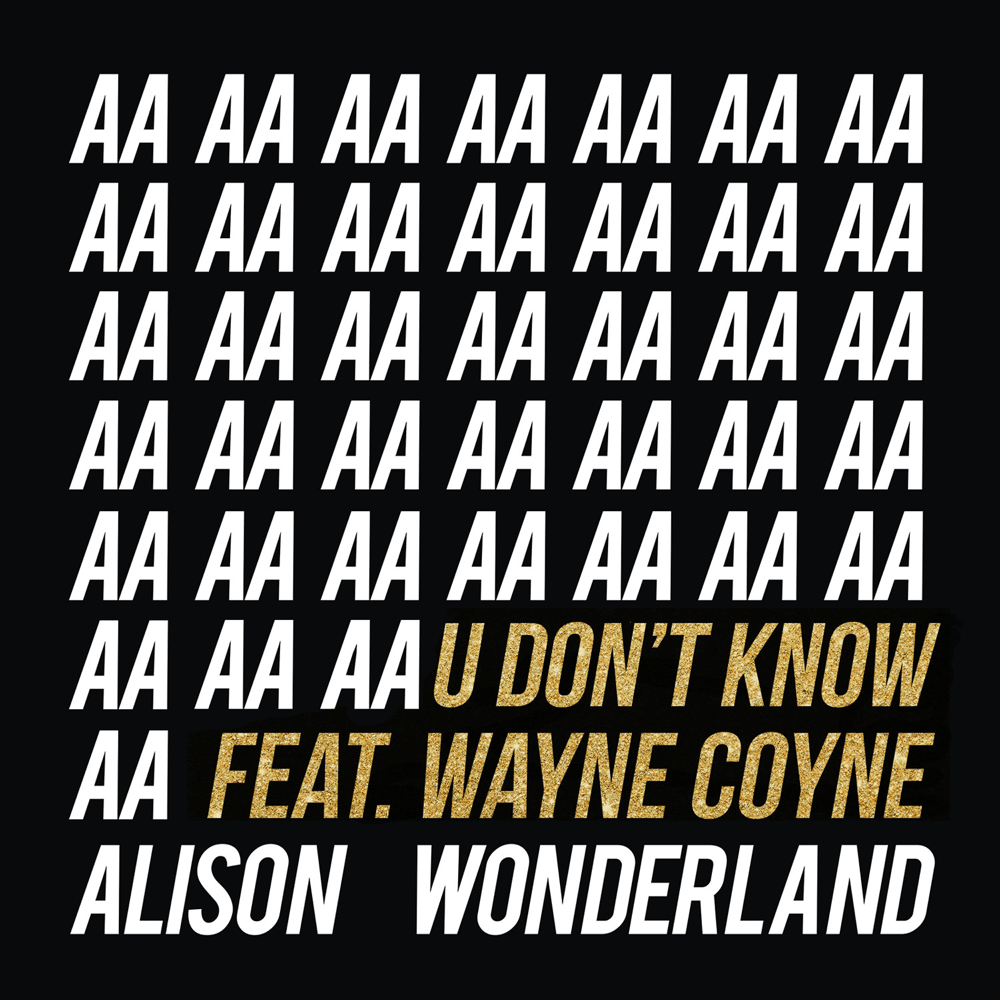 U Don’t Know by Alison Wonderland