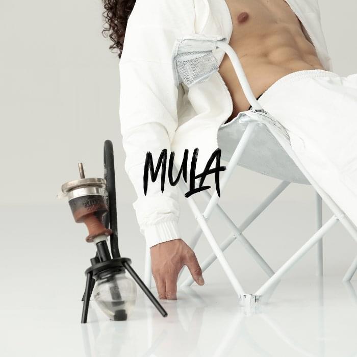Album cover art for "Mula" by Hatik
