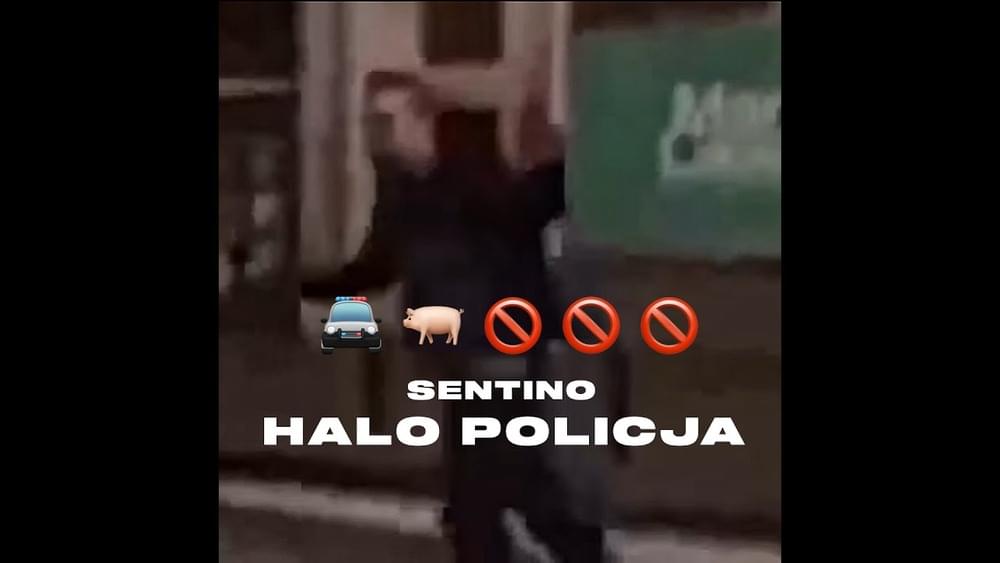 Album cover art for "Halo Policja" by Sentino
