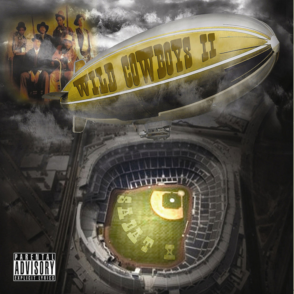Cover image for Wild Cowboys II