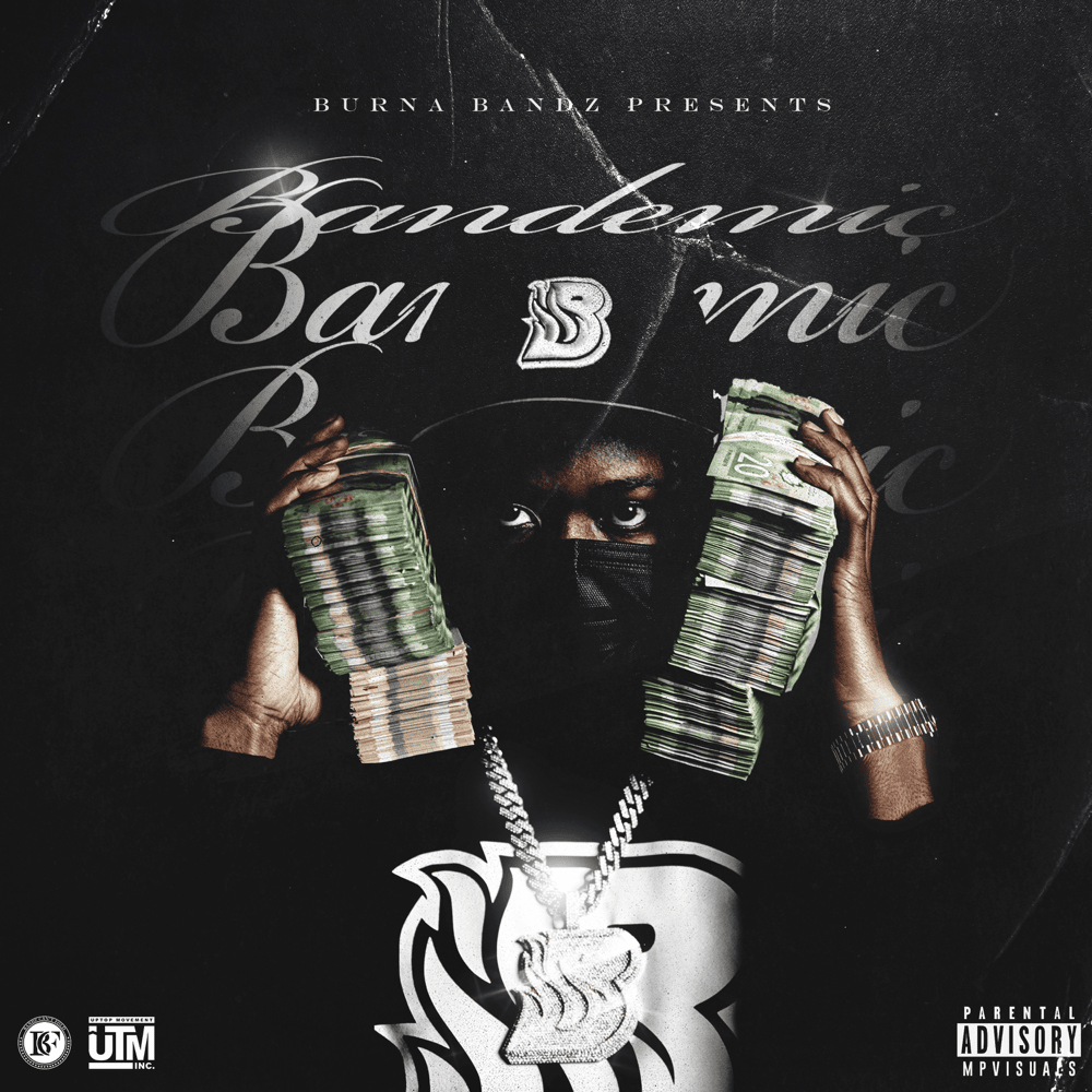 Cover image for Bandemic