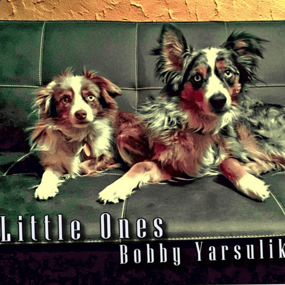 Cover image for Little Ones