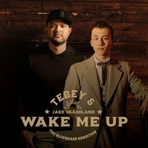 Cover image for Wake Me Up (The Bluegrass Rendition)