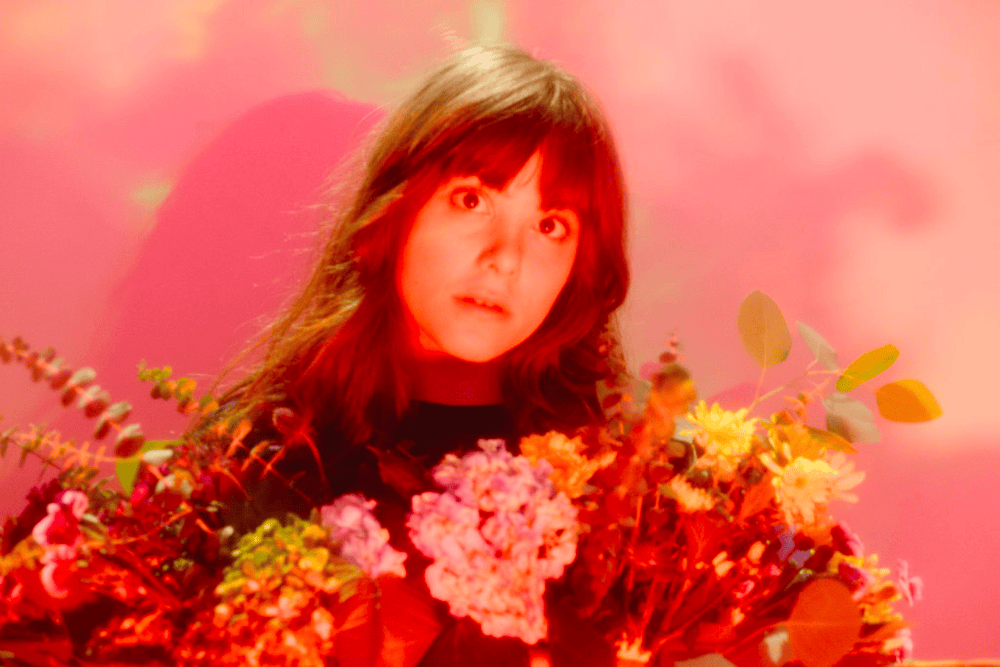 Cover image for Superflower