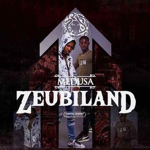Cover image for Zeubiland