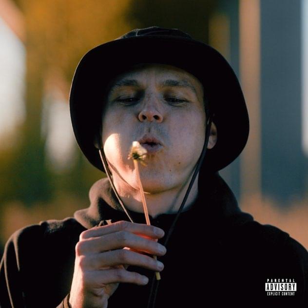 Album cover art for "Domino" by Kamakaze
