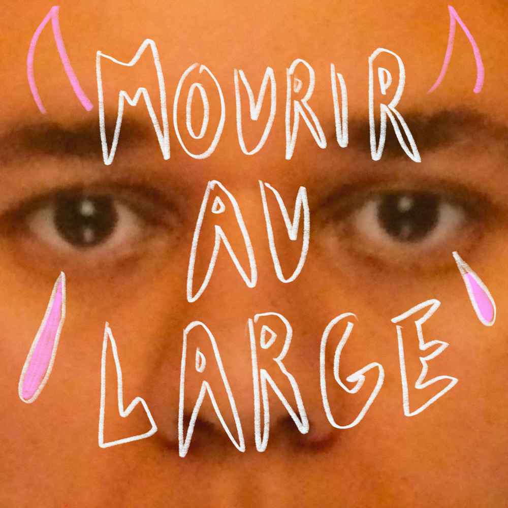 Cover image for Mourir au large