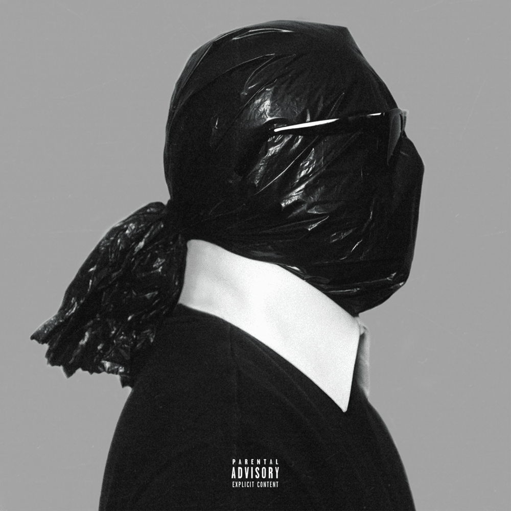 Album cover art for "Dead Body Bag" by DCVDNS