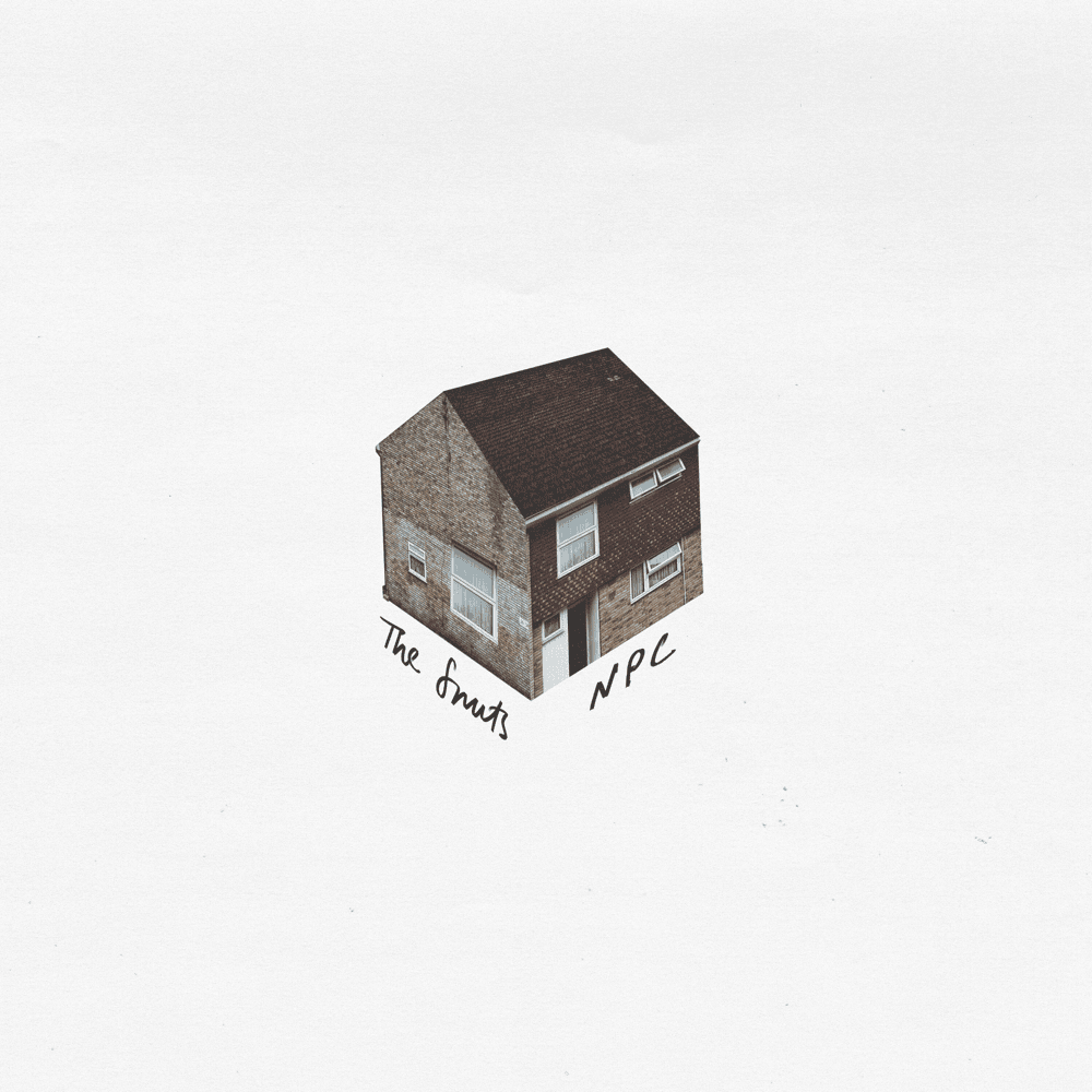 Album cover art for "NPC" by The Snuts