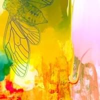 Album cover art for "Chrysalis" by AVAWAVES