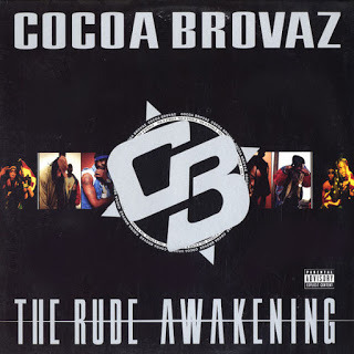 Cover image for The Rude Awakening