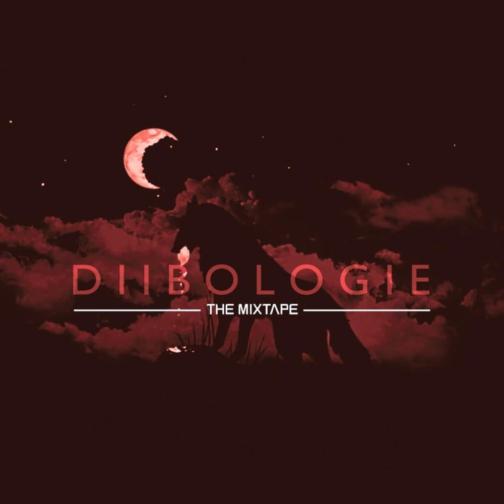 Cover image for Diibologie