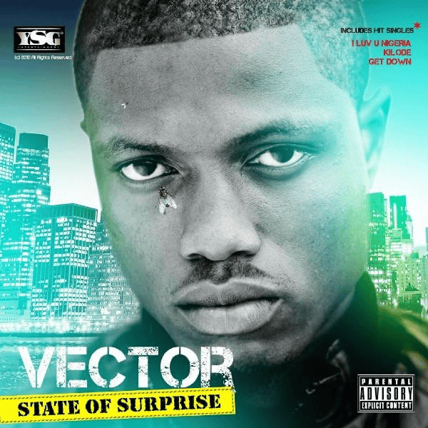 Cover image for State of Surprise