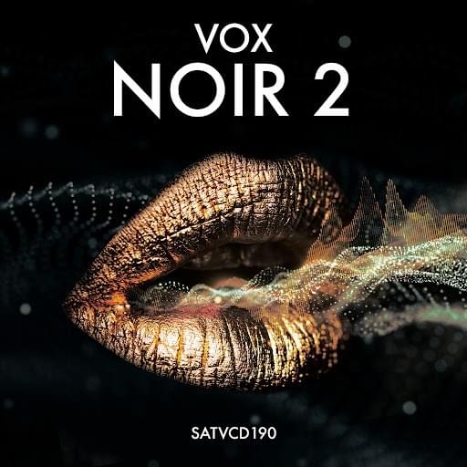 Cover image for VOX NOIR 2